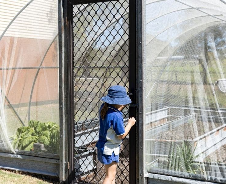 Student opening the greenhouse door, plants that are growing inside are visible inside